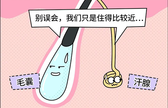 脫毛不徹底，毛毛的生命力到底有多頑強？