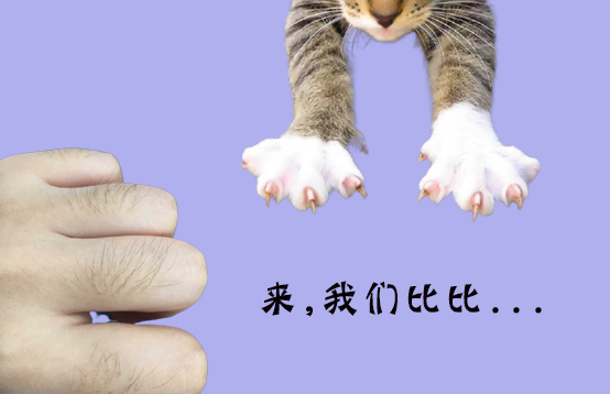 脫手指毛除了拔，還有什么好的方法(圖1)